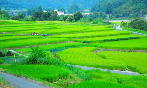 日本,田舎,田園,畑,田んぼ,棚田